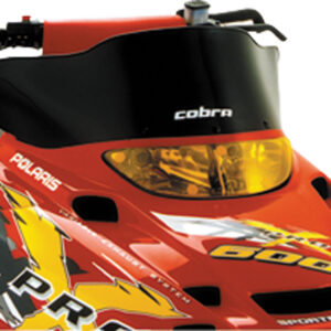 Windshield