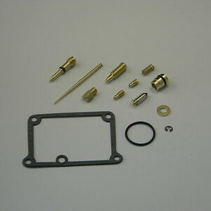 Carburetor Repair Kit