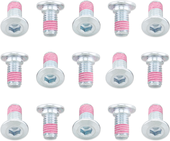 Rotor Bolts