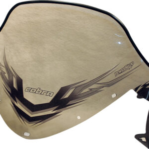 Windshield