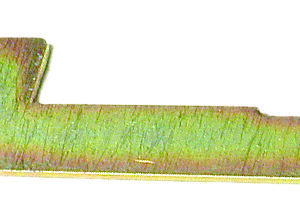Clutch Alignment Tool