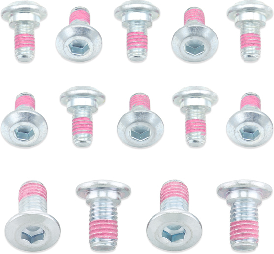 Rotor Bolts