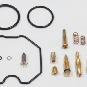 Carburetor Repair Kit